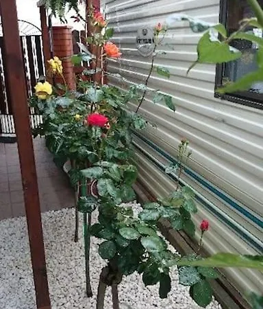 U Pani Marioli Дом отдыха